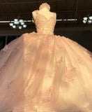 Sweet Pink Shoulder Strap Sequined Bowknot Sweet 16 Quinceanera V-neck Butterfly A-line Tulle Prom Dress Ball Gown HZ1024